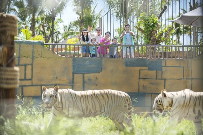 kinh-nghiem-du-lich-Vinpearl-Land-Nha-Trang