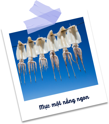 Mực một nắng Bích Lan - Món quà từ biển Mực một nắng Bích Lan - Món quà từ biển