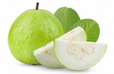 Tác dụng tuyệt vời của quả ổi