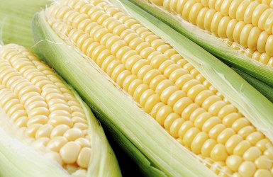 12 loại thực phẩm không nên bảo quản cùng nhau